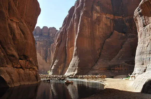 Guelta d'Archei- An enriched Oasis of Sahara Desert