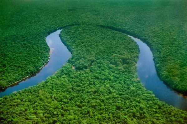 Congo River and forest- Top Facts you should Know