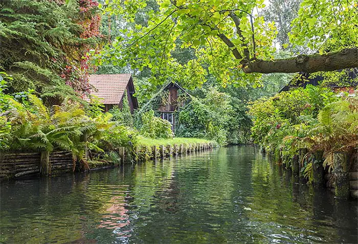 Spreewald- Islands forest and lacework of channels