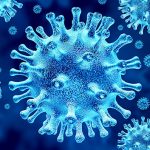 A Scientific definition of the origin of Covid-19 virus