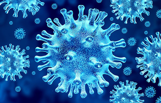 A Scientific definition of the origin of Covid-19 virus